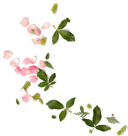 Blumen